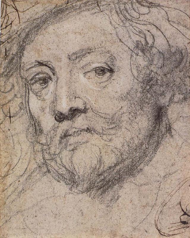 Self-Portrait, Peter Paul Rubens